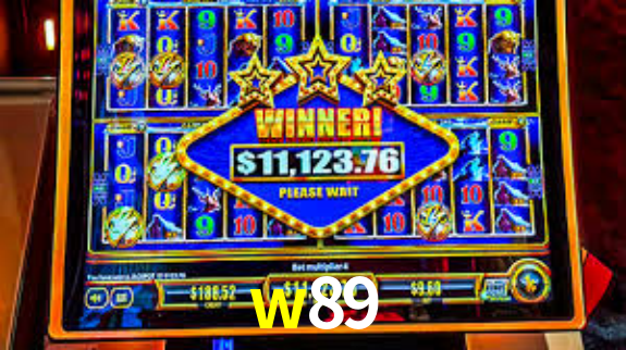 Premium Interface w89